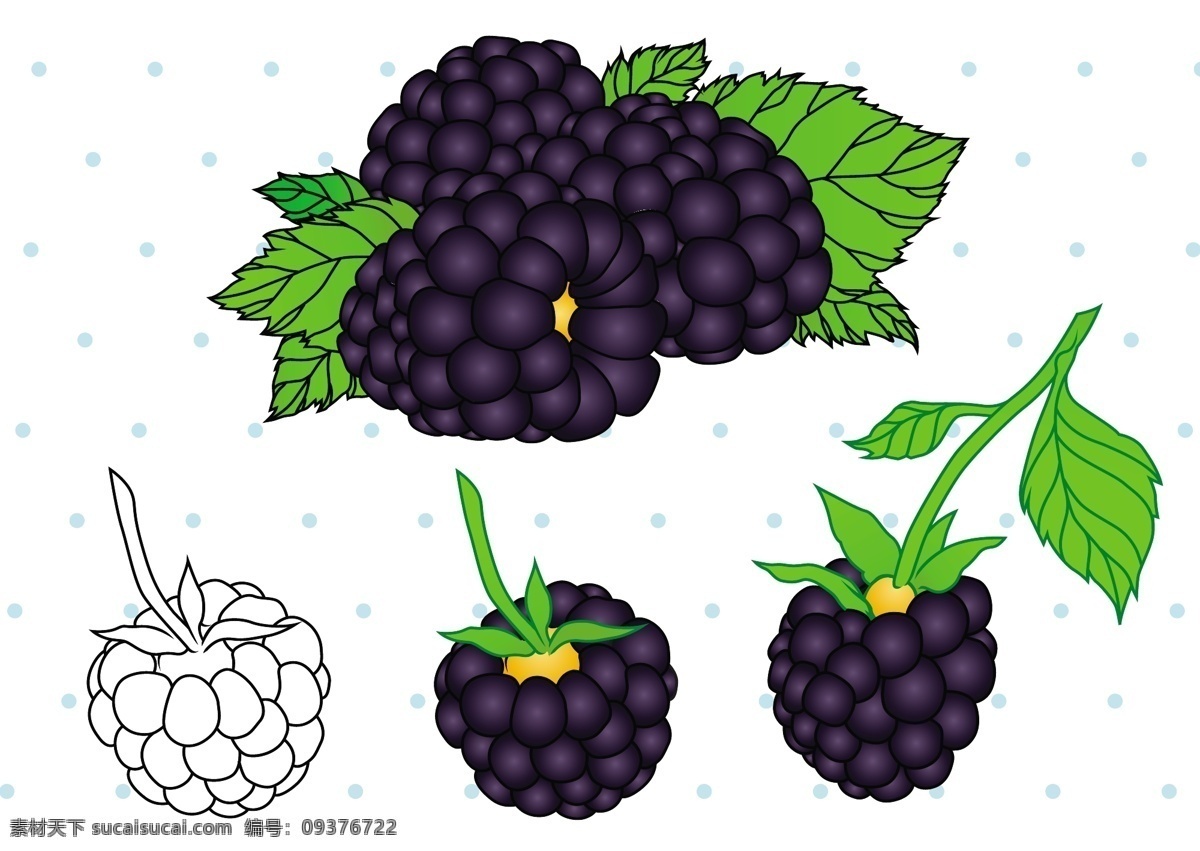 黑色 浆果 矢量 水果 手绘水果 矢量素材 扁平化水果 食物 美食 手绘食物 手绘植物 水果图标 手绘浆果