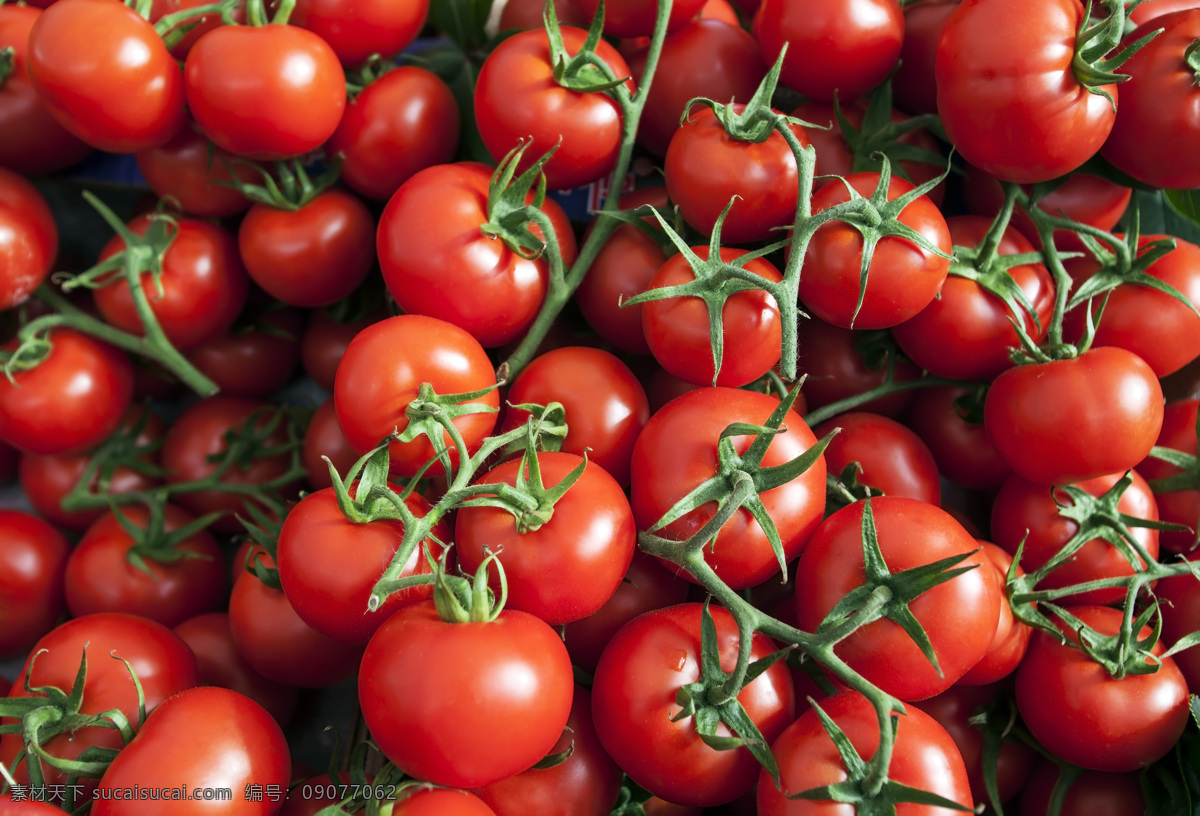 西红柿 背景图片 番茄 新鲜蔬菜 新鲜番茄 水果蔬菜 餐饮美食 红色