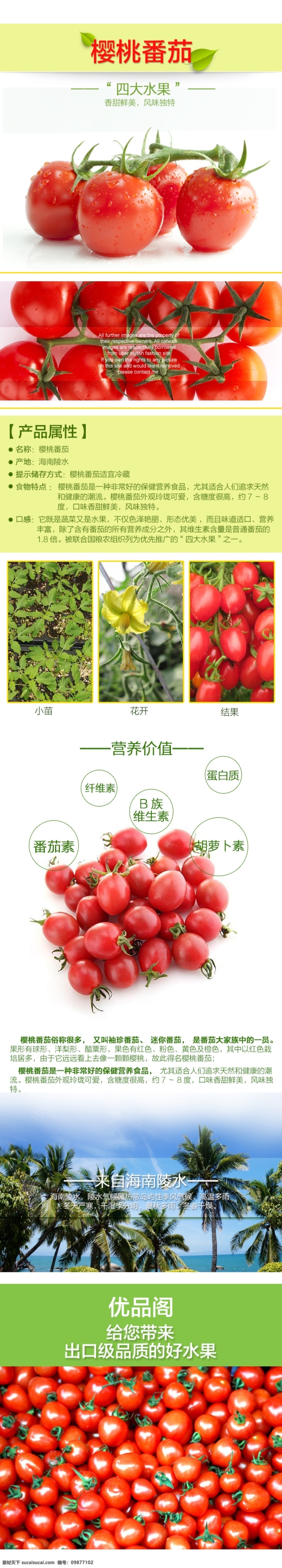 微 信 水果 番茄 ps下载 手机端 原创设计 樱桃番茄 小番茄 详情页面设计 微信端 淘宝详情设计 原创淘宝设计