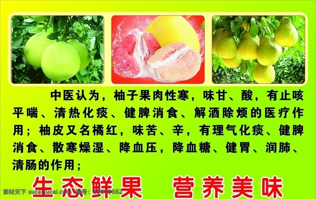 蜜柚 生态鲜果 营养美味 柚子 红色柚 水果 果蔬