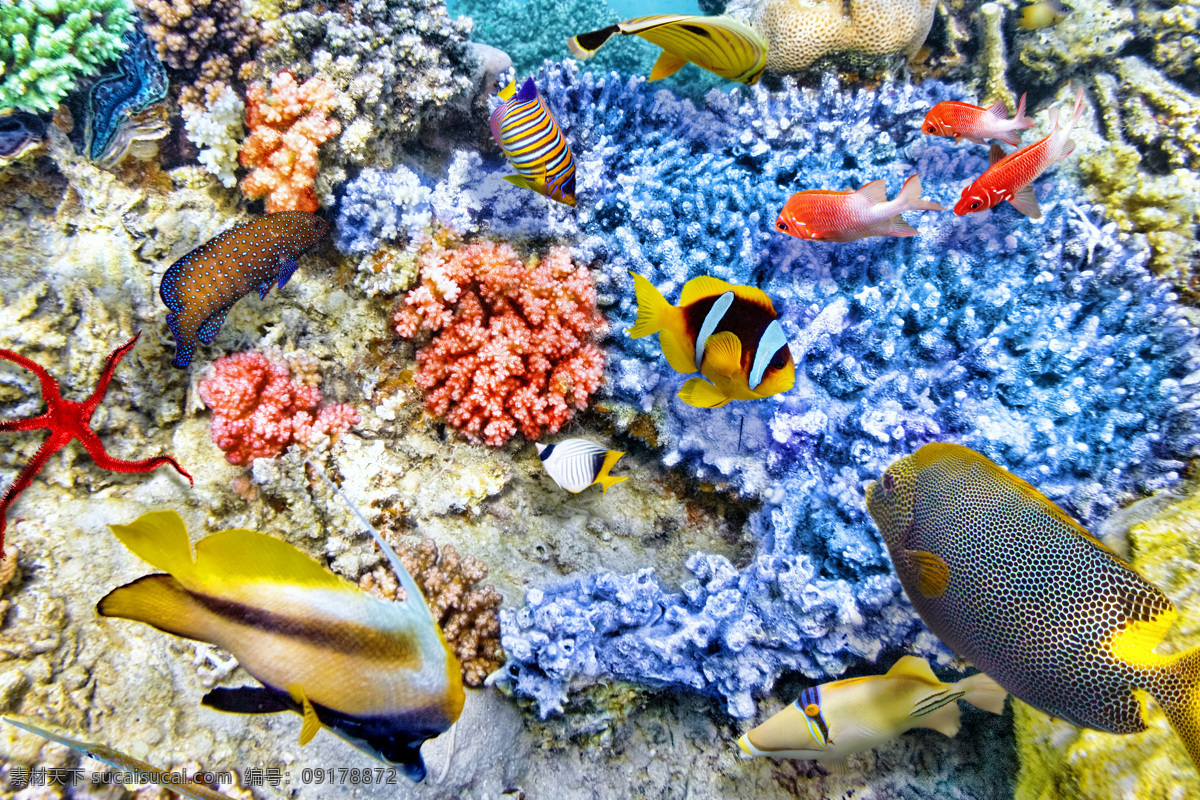 深海里的鱼群 海洋海边 自然风光 海底世界 海洋生物 鱼群 珊瑚 深海 海水 自然景观 白色