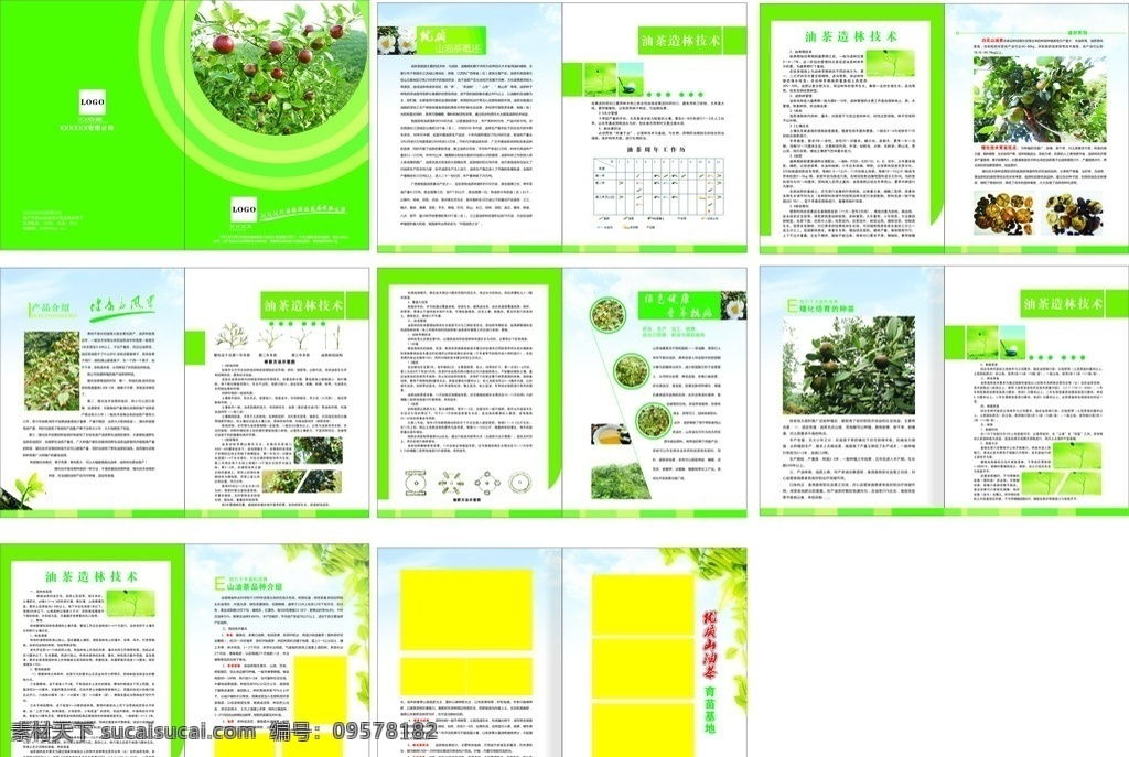 油茶画册 画册 油茶 底图 绿色画册 宣传册 dm单 画册设计