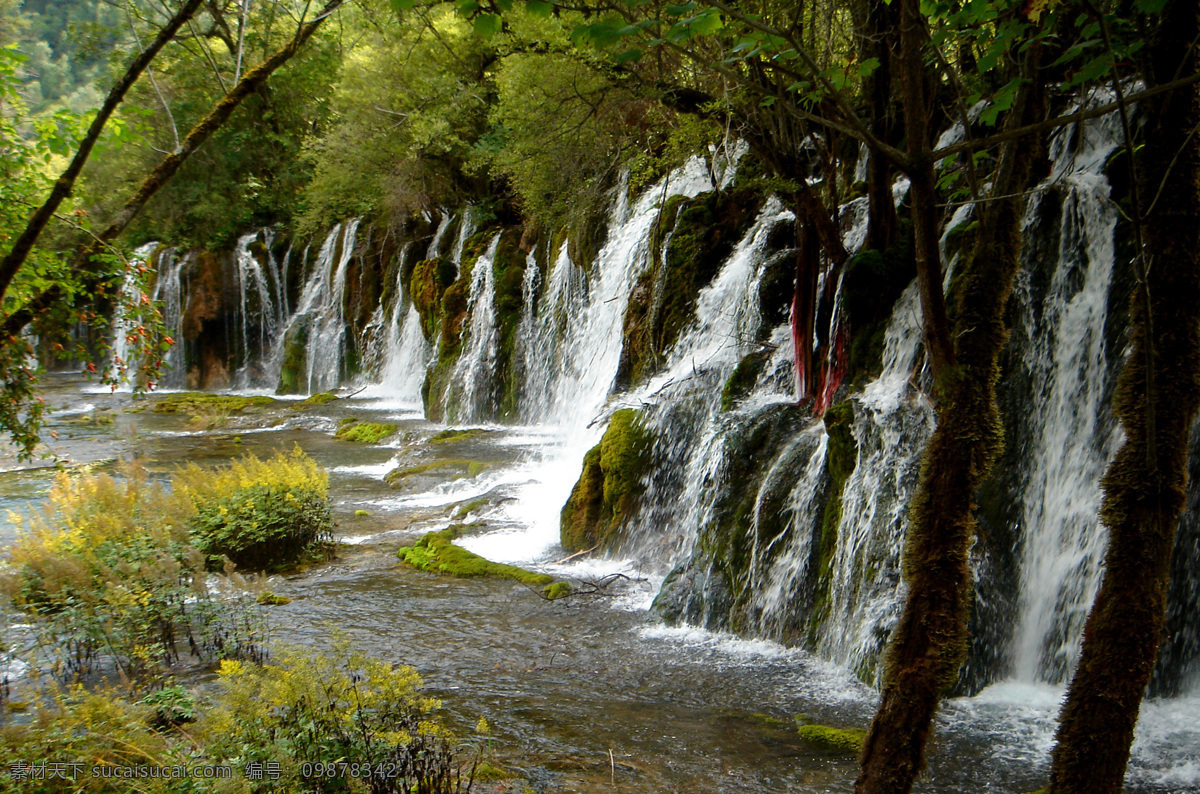 九寨沟风光 四川 九寨沟 湖泊 湖水 瀑布 流水 岩石 高山 水草 草丛 树丛 树林 森林公园 生态旅游 山水风景 自然景观