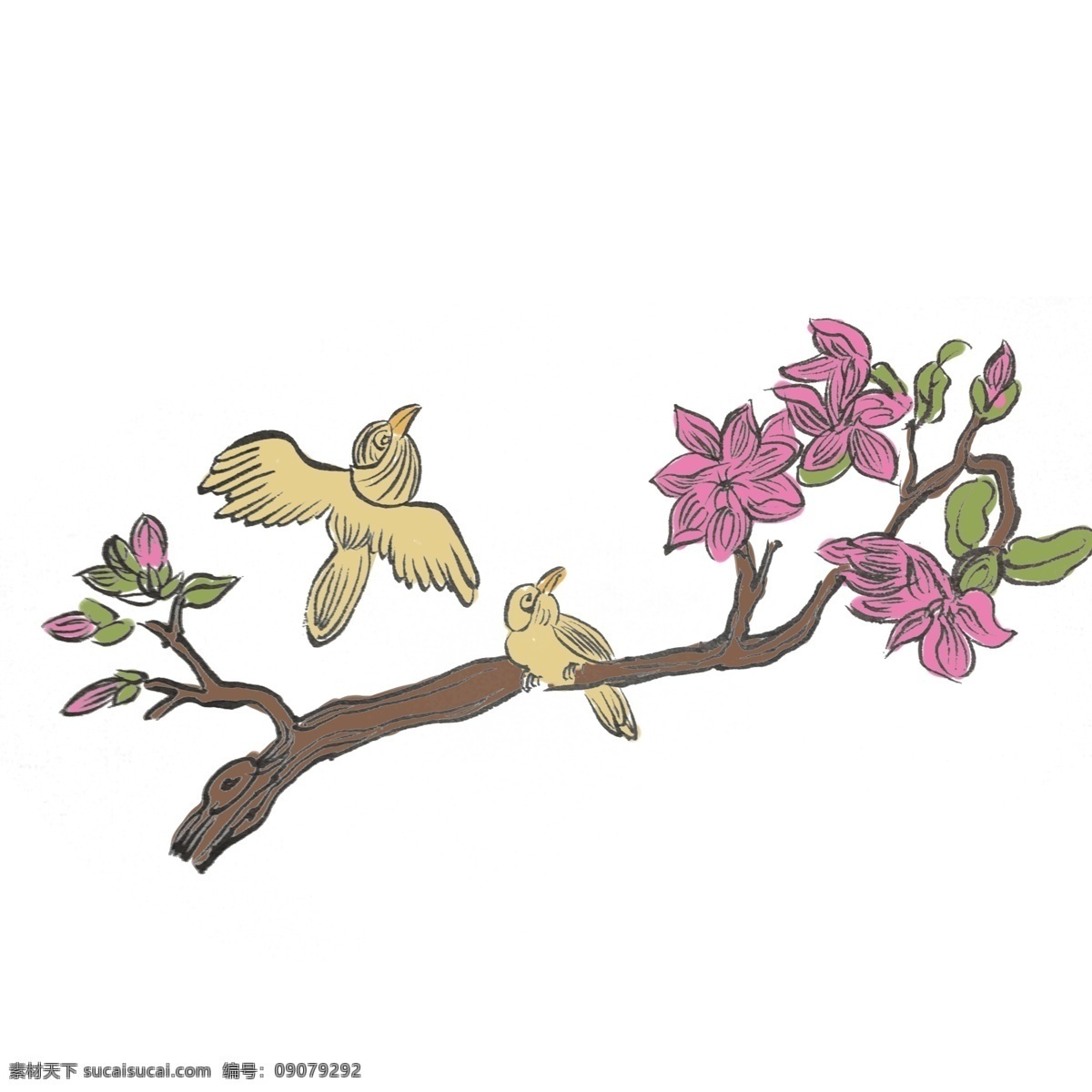 水墨 风 两 只 喜鹊 手绘 插画 中国风 动物 古风 水墨风 墨迹 夏季 彩色 昆虫 春天 生动 花草 国风 国画 花鸟 小景