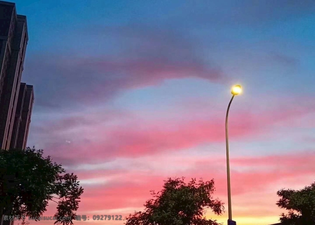 空中彩虹 灯光 建筑 楼房 树木 绿叶 粉色 云彩 蓝天 夕阳 风景 旅游摄影 人文景观