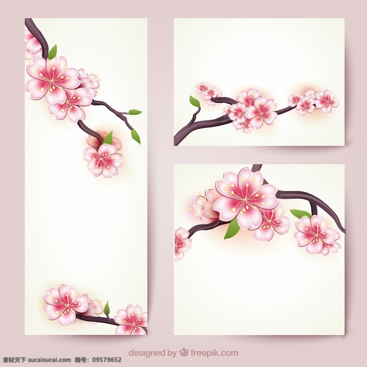 樱花花枝 樱花节 赏樱花 樱花海报 樱花盛开 樱花树 樱花展板 樱花背景 樱花节海报 樱花节设计 中国樱花 樱花宣传 樱花图片 樱花图案 樱花季 春天海报 日本樱花 东京樱花 日本 东京 国产 红色 白色 品种 浪漫 春游 踏春 旅游 春天 公园 桃花 桃花盛开 桃花图片 赏桃花 平面素材