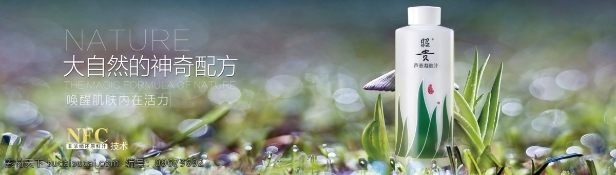昭贵海报 昭贵 芦荟 芦荟昭贵 芦荟海报 芦荟凝胶汁 大自然 神奇 配方 化妆美容 美容海报 化妆品 美容产品 天然背景 美容素材 美容 灰色