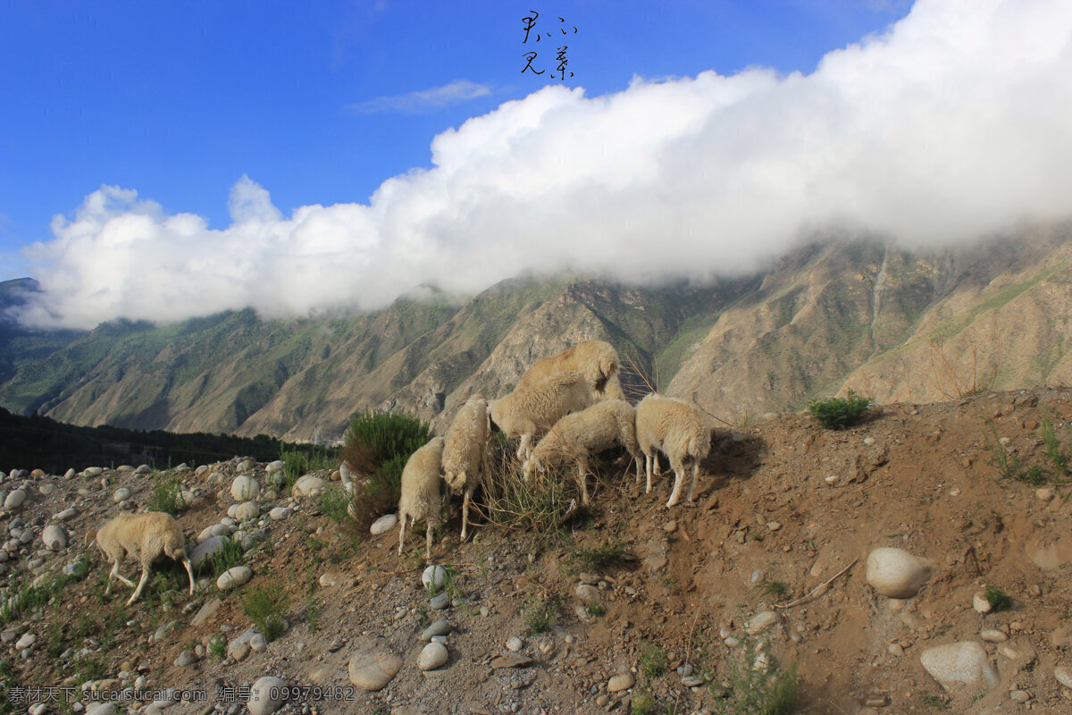 西藏 山南 山水 风景 拉姆拉错 旅游摄影 自然风景