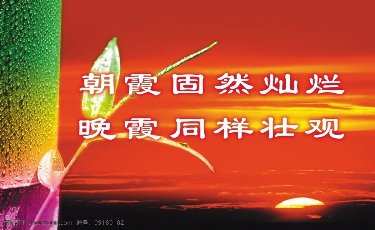 老干部版面 朝霞固然灿烂 晚霞同样壮观 竹叶 竹 日出 霞光 源文件库