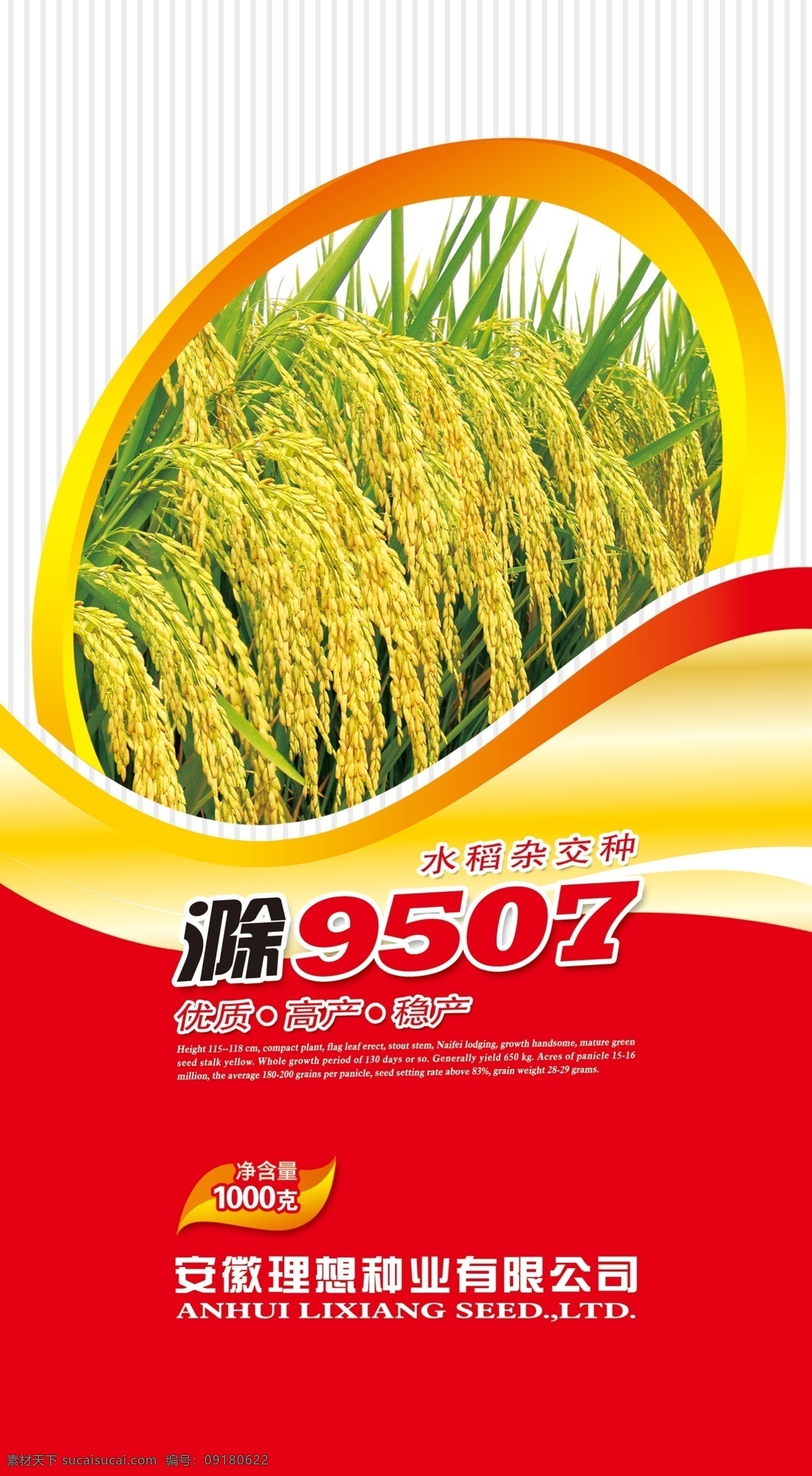 农业包装 农业 水稻 包装 水稻包装 炫丽 包装设计 广告设计模板 源文件