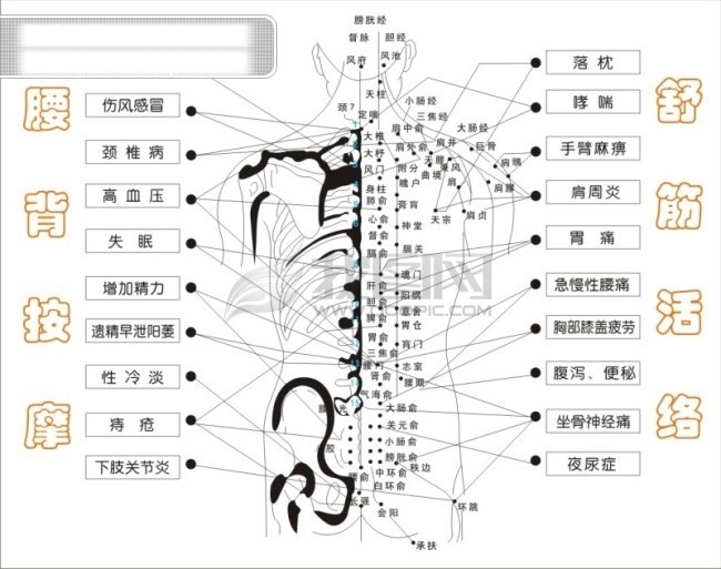 人体 图 人体结构图 人体解剖图 人体图 体体穴位图 矢量图 矢量人物