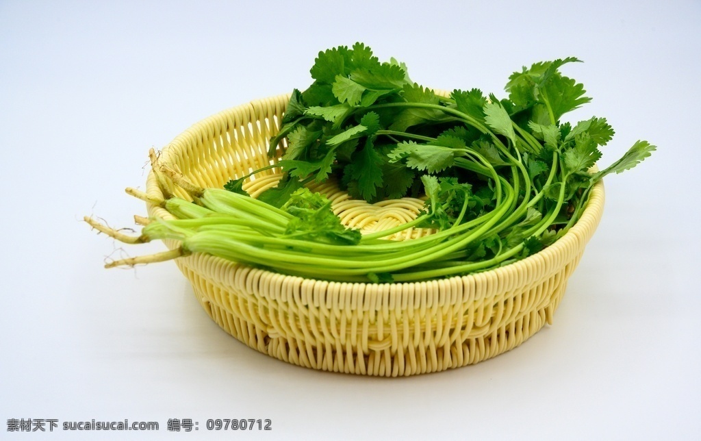 香菜 蔬菜 植物 绿色 绿叶菜 佐料 新鲜 生的 农作物 种植的 膳食纤维 营养 食物 食品 食材 整棵 完整的 新鲜的 白色背景 容器 编织篮 特写 餐饮美食 食物原料