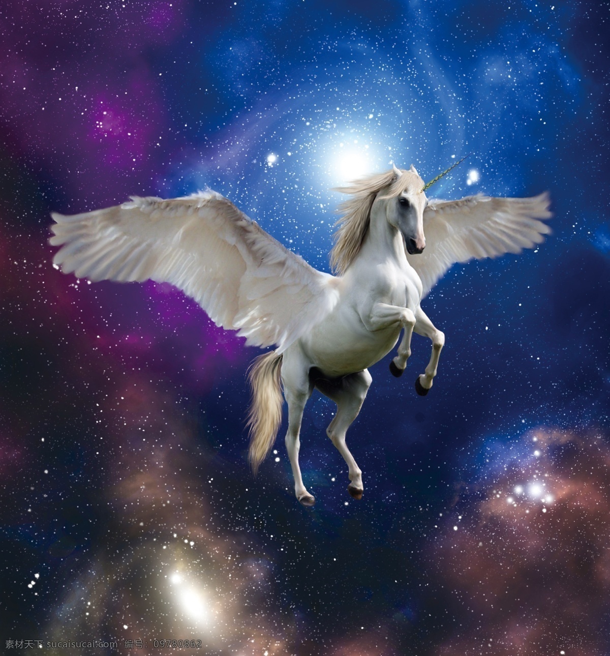 天马行空 飞马 飞翔 神兽 月亮 星空 蓝色星空 底纹边框 边框相框