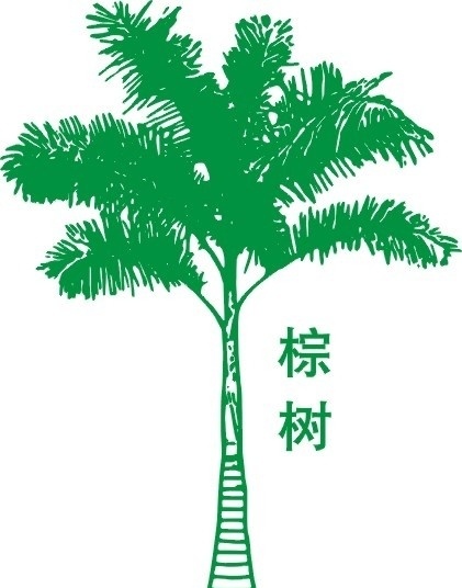 棕树 树木树叶 生物世界 矢量