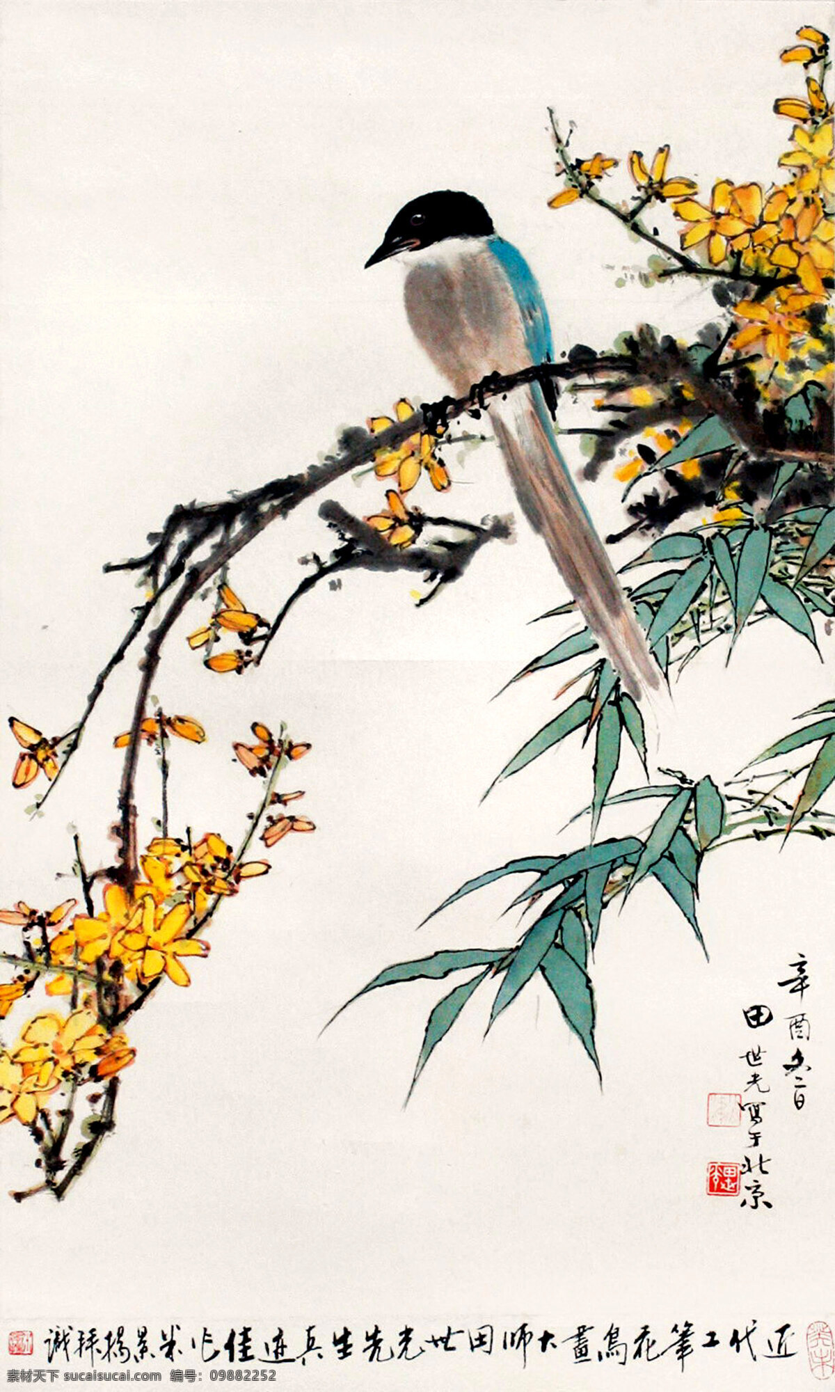 黄花小鸟 花 竹 鸟 国画 田世光 工笔 古典 古代 印章 绘画 书法 高清 大图 艺术 传统文化 名家工笔花鸟 绘画书法 文化艺术