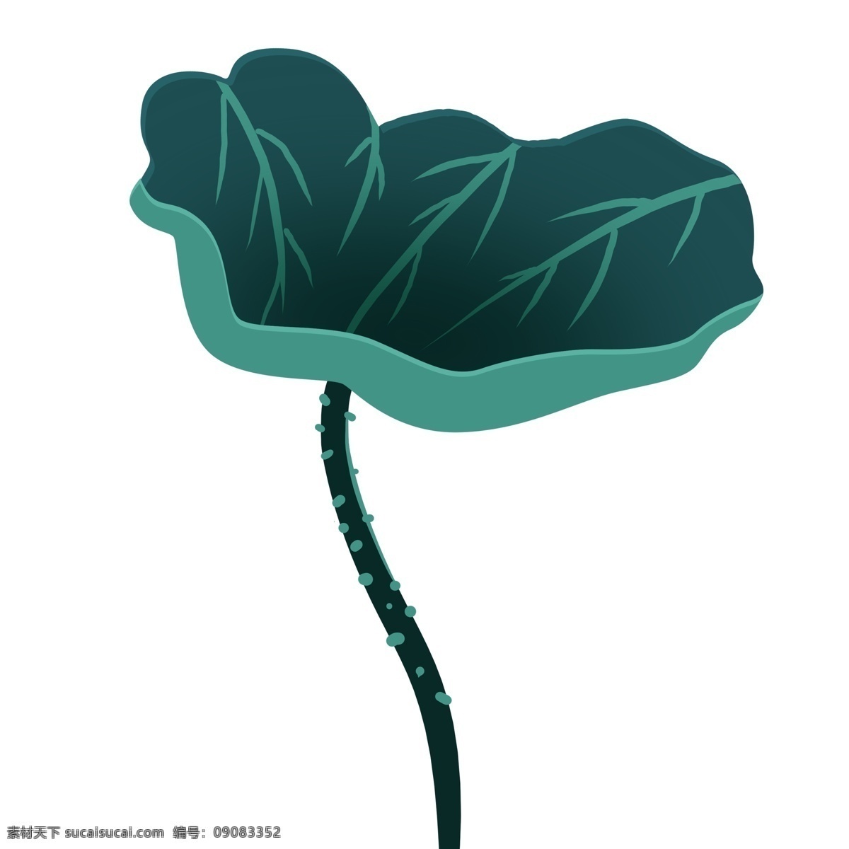 中国 风 朵 荷叶 商用 中国风 植物 夏季 叶子 绿色 手绘 插画元素
