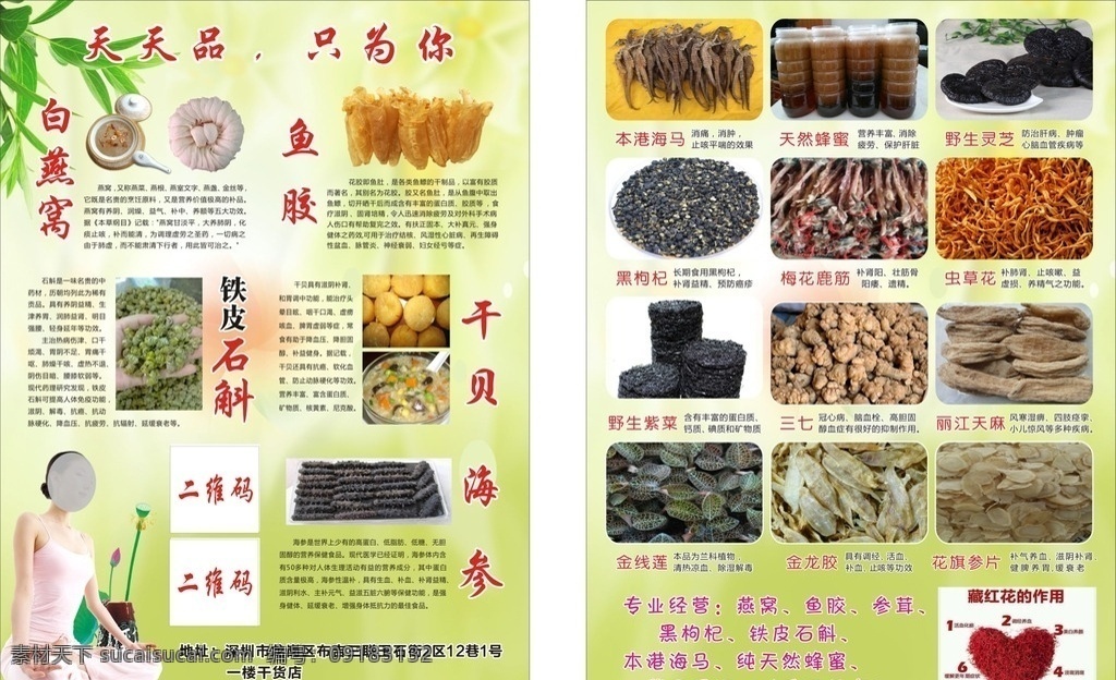 养生 食补 宣传单 养生食补 养生食物广告 养生宣传单 食补养生 养生广告 白燕窝 鱼胶 干贝 海参 铁皮石斛 养生美女 养生人物 清新背景 绿色背景 dm宣传单