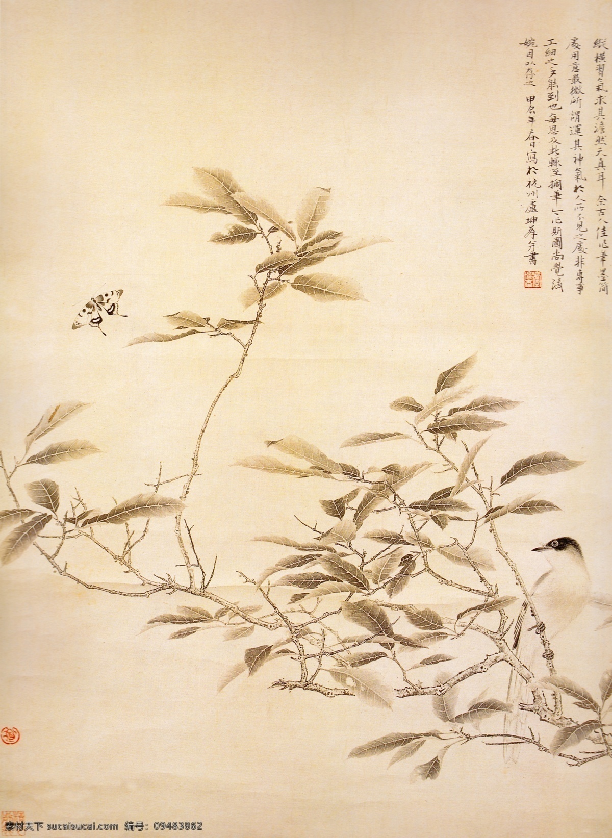 花鸟 绘画书法 文化艺术 中国画 山 鹊 蛱蝶 设计素材 模板下载 山鹊蛱蝶 设色 山鹊