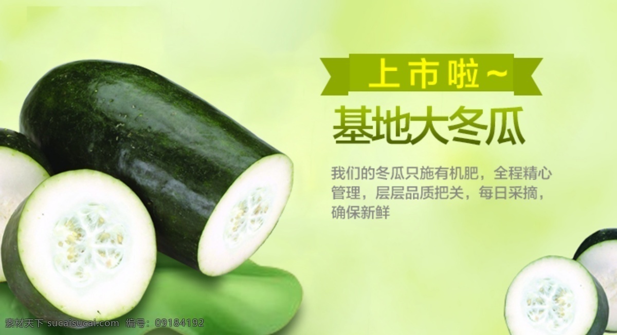 蔬菜海报 淘宝 淘宝海报 淘宝详情 葡萄 葡萄海报 生鲜 水果 蔬菜 基地 特惠水果 水果海报 夏季水果 节日促销 香甜水果 双11 活动海报 西瓜海报 西瓜 黄西瓜 端午节 五芳斋 粽子 限时抢购 鸡蛋 鸡蛋促销 土鸡 新店开张 番薯 番薯海报 冬瓜 淘宝界面设计 广告 banner 白色