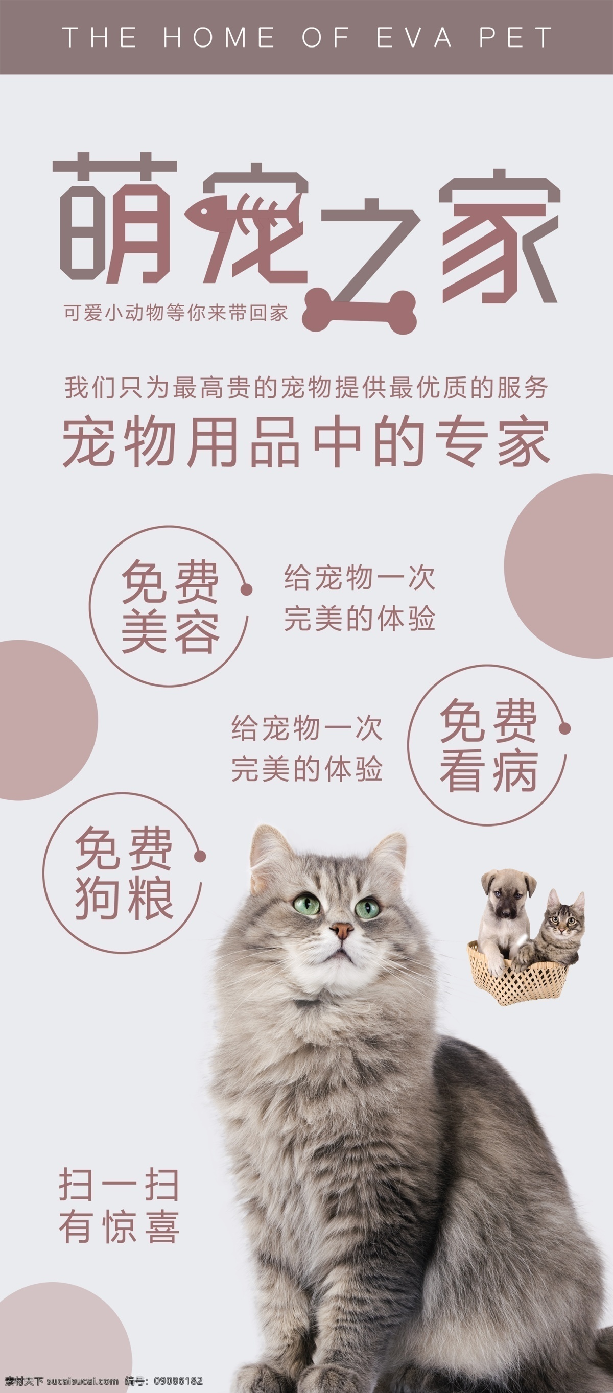 宠物之家图片 展板 喷绘 写真 单透 宠物 乐园 猫 狗 领养 购买 墙 玩耍的猫