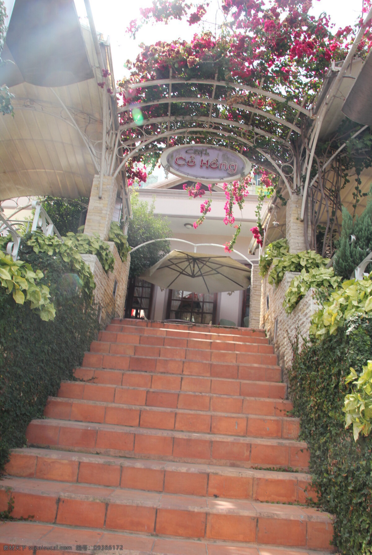 阶梯 植物 花 招牌 建筑 越南 国外旅游 旅游摄影