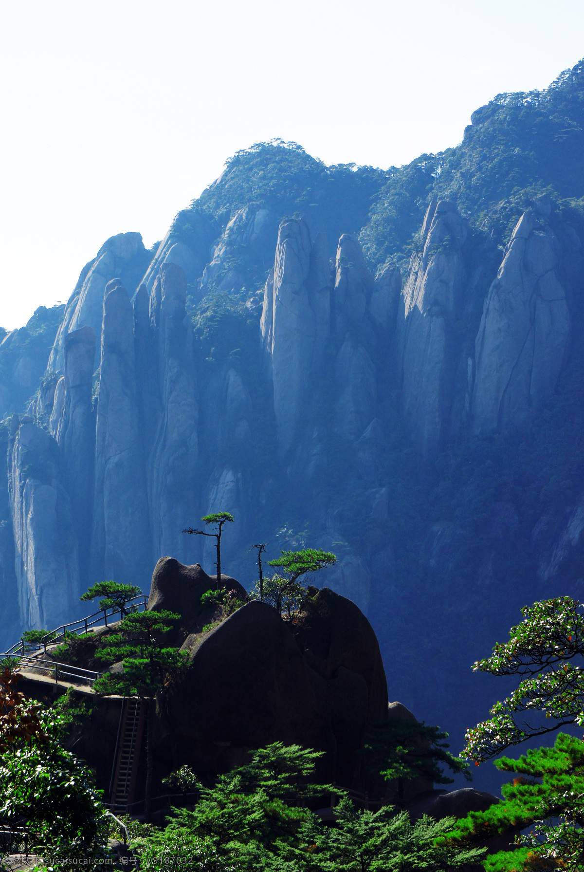 风景 风景画 风景摄影 风景素材 古树 国内旅游 旅游摄影 旅游胜地 三清山 风景图片 三清山风景 迎客松 三清山迎客松 迎客松图 古松树 山水风景 山水摄影 装饰画模板 山水素材 风景山水摄影 自然景观 江西 上饶 装饰素材 山水风景画