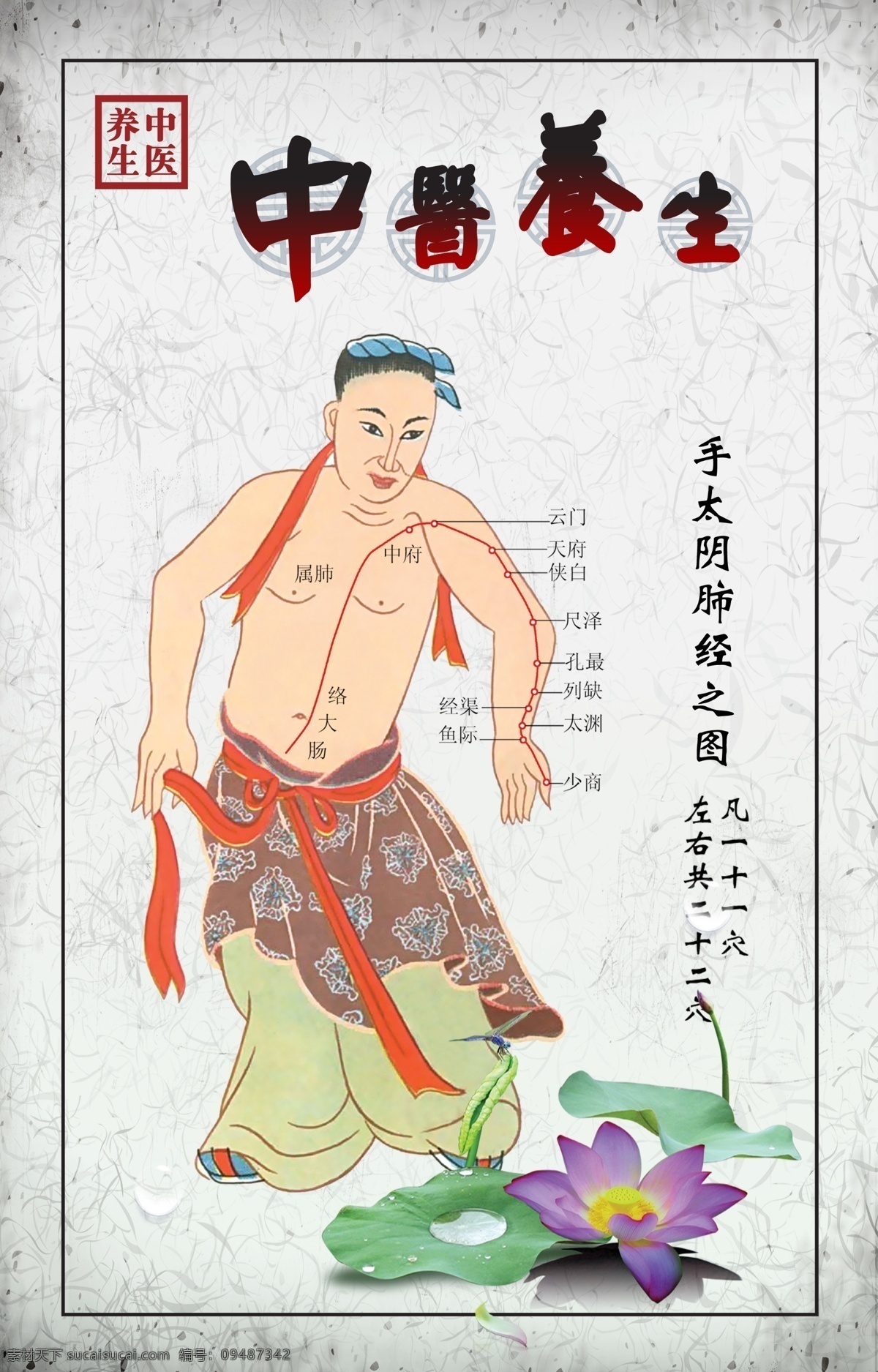 手 太阴 肺 穴位 中医养生 荷花 淡雅中国风 手掌穴位图 广告 海报