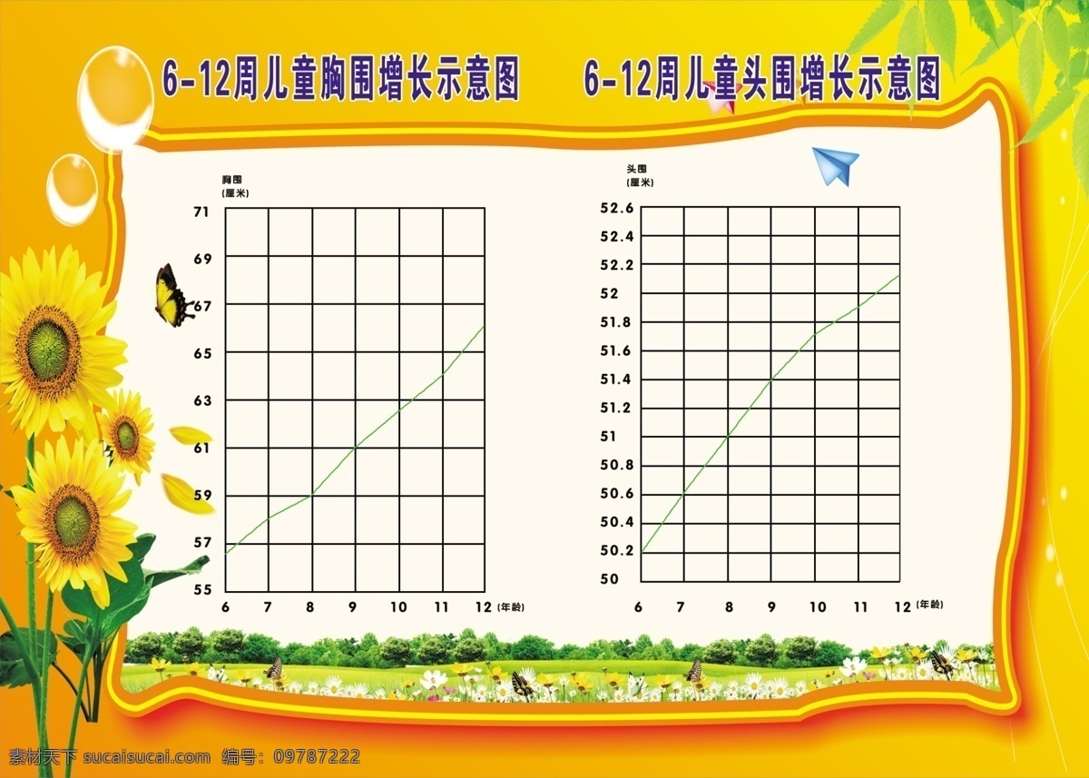 周 儿童 胸围 头 围 增长 示意图 卫生室 学校 展板 头围 学校展板设计