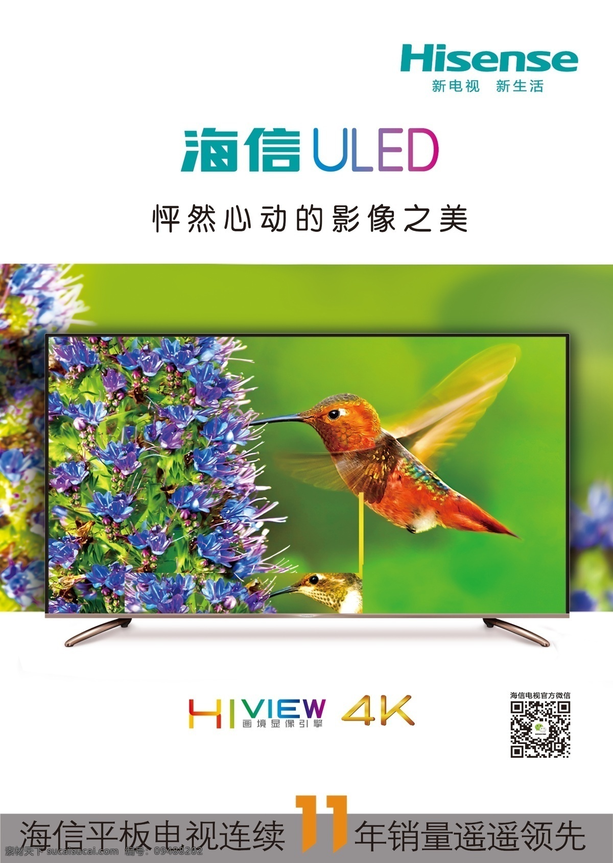 海信 主题 海报 led 电视 风景 海信电视 花 家电 视觉设计 小鸟 宣传 影响 平板电视 原创设计 原创海报