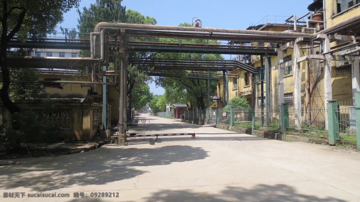化工厂区照片 化工厂区 化工厂 管道 道路 管线 树荫 风景照片 建筑景观 自然景观