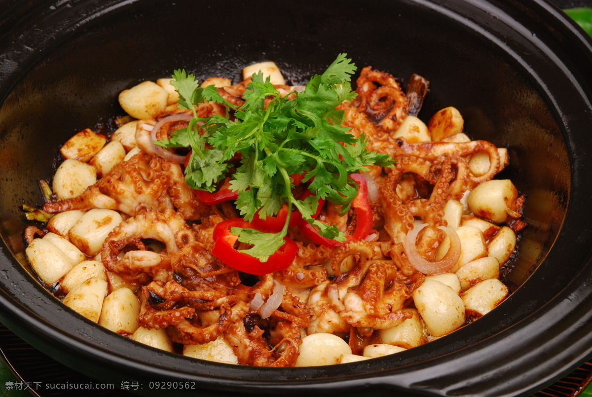 砂锅八爪鱼 砂锅 风味砂锅 石锅 石锅类 砂锅类 镇店菜 菜 餐饮美食 传统美食