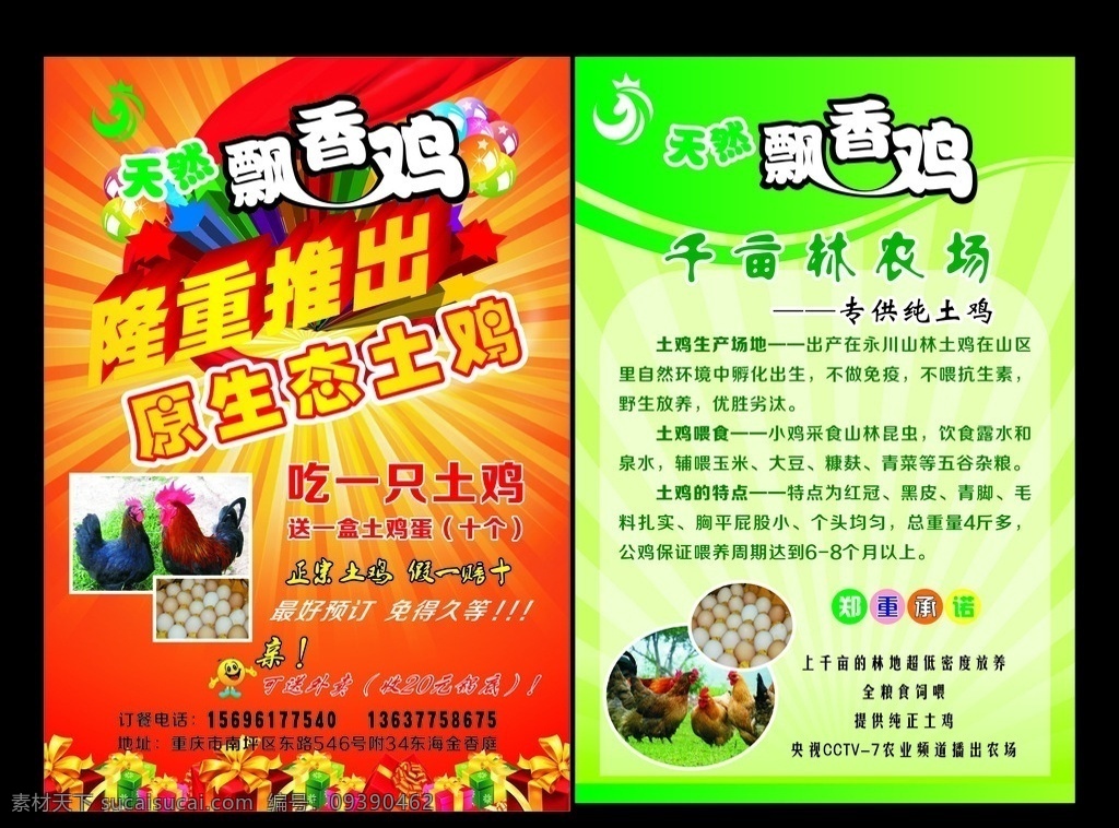 隆重推出 原生态 土鸡 隆重开业海报 隆重开业 创意隆重开业 开业宣传海报 隆重开业字体