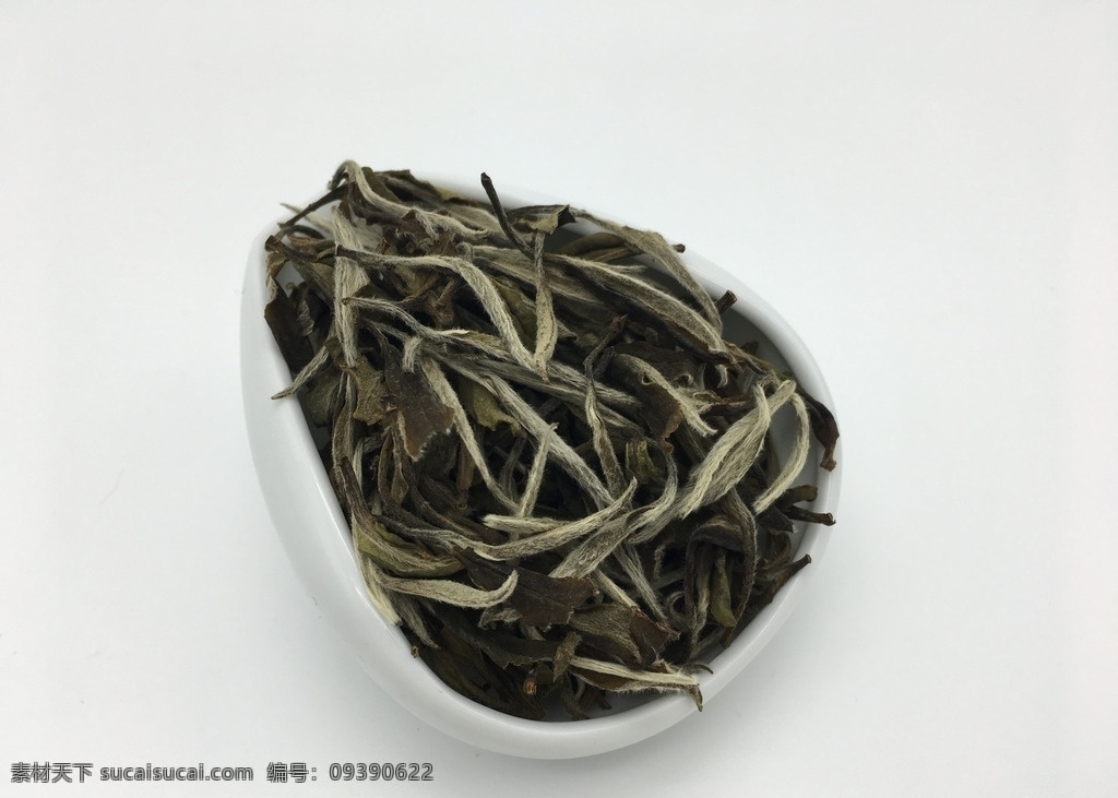 福鼎 白茶 白 牡丹 福鼎白茶 白牡丹茶 茶叶实拍 茶叶 生活百科 生活素材