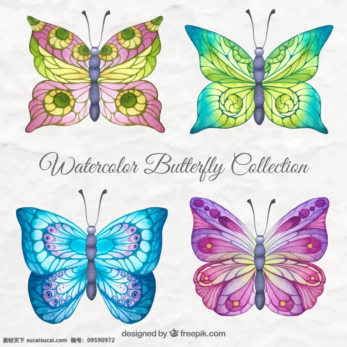 七彩蝴蝶 抽象 水彩 手 蝴蝶 自然 动物 形状 可爱 色彩鲜艳 颜色自然 飞 飞行 昆虫 摘要 插图 手绘
