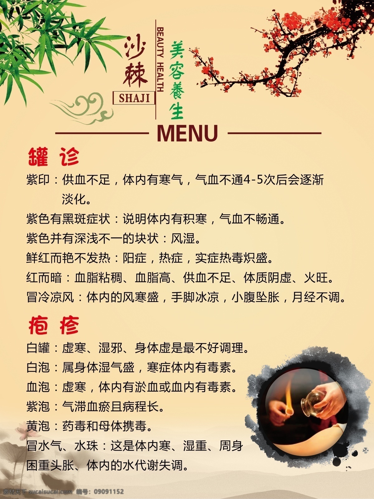 沙棘 梅花 古典背景 拔罐 罐诊 疱疹 沙棘海报