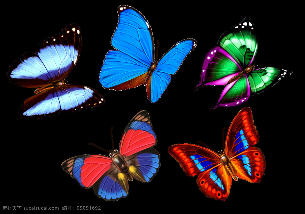 手绘 彩色 蝴蝶 元素 标本 动物 飞翔 彩色蝴蝶 免抠