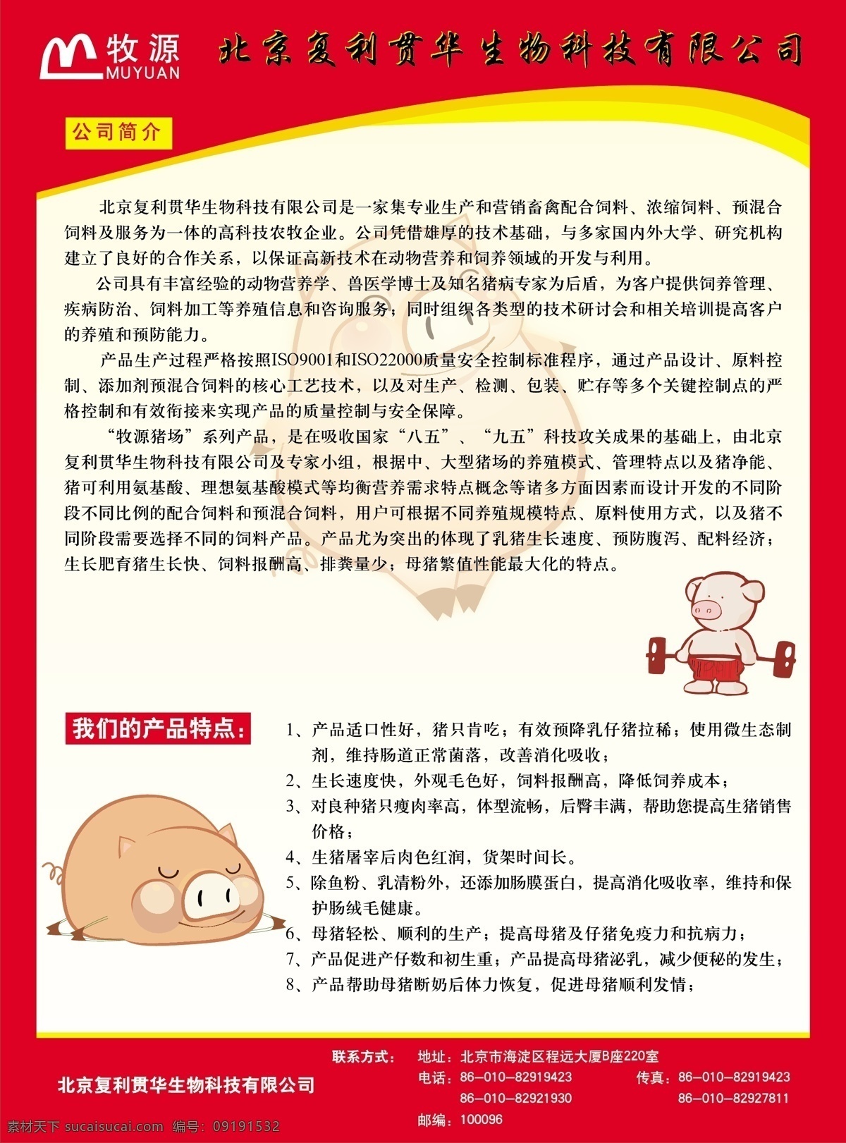 饲料宣传单 卡通猪 猪 饲料 生物公司 简介 宣传单 dm 矢量 饲料宣传页 彩页设计 高档次 dm宣传单