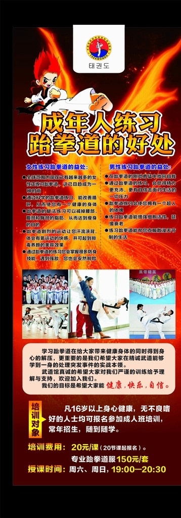 跆拳道展架 跆拳道 展架 海报 宣传 成人跆拳道 矢量
