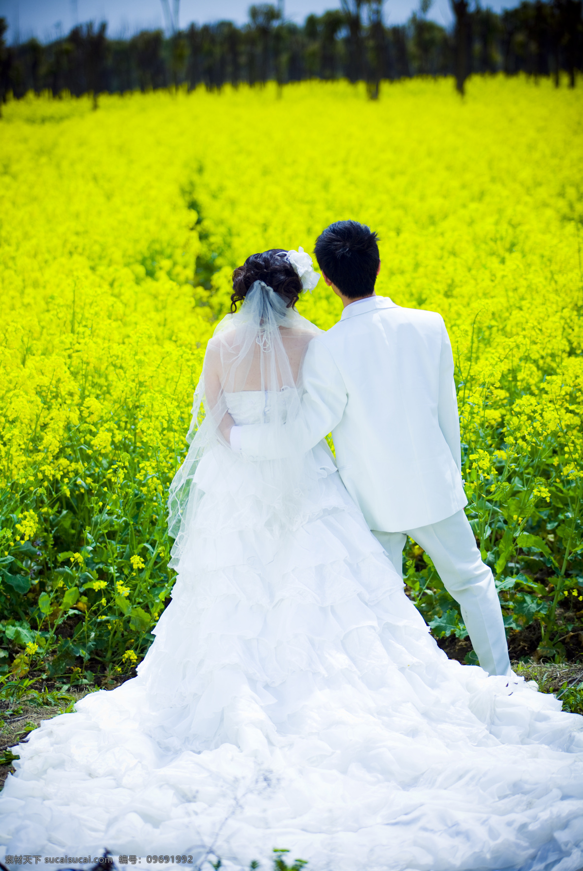 婚纱摄影 婚纱 新娘 新郎 油菜花 头纱 唯美 幸福 树 绿色 黄色 白色 人物摄影 人物图库