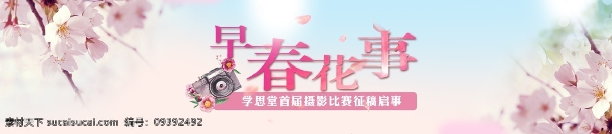 早春 花事 网站 banner 春天 赏花 樱花 粉红色 粉蓝色 早春花事 学思堂 白色