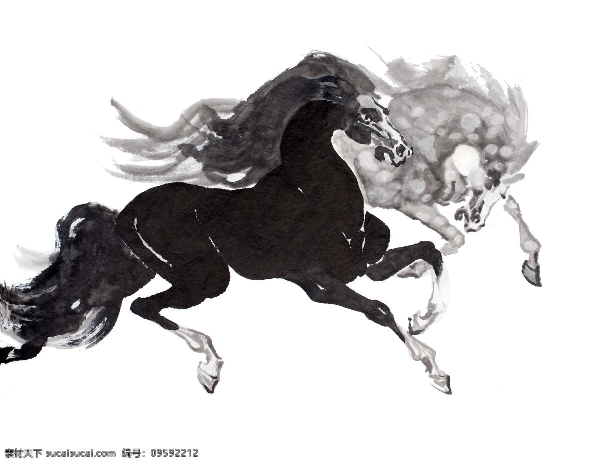 在运动中的马 马匹 绘画 东方 水彩 马 种马 概念 艺术品 原创 艺术 绘画书法 文化艺术