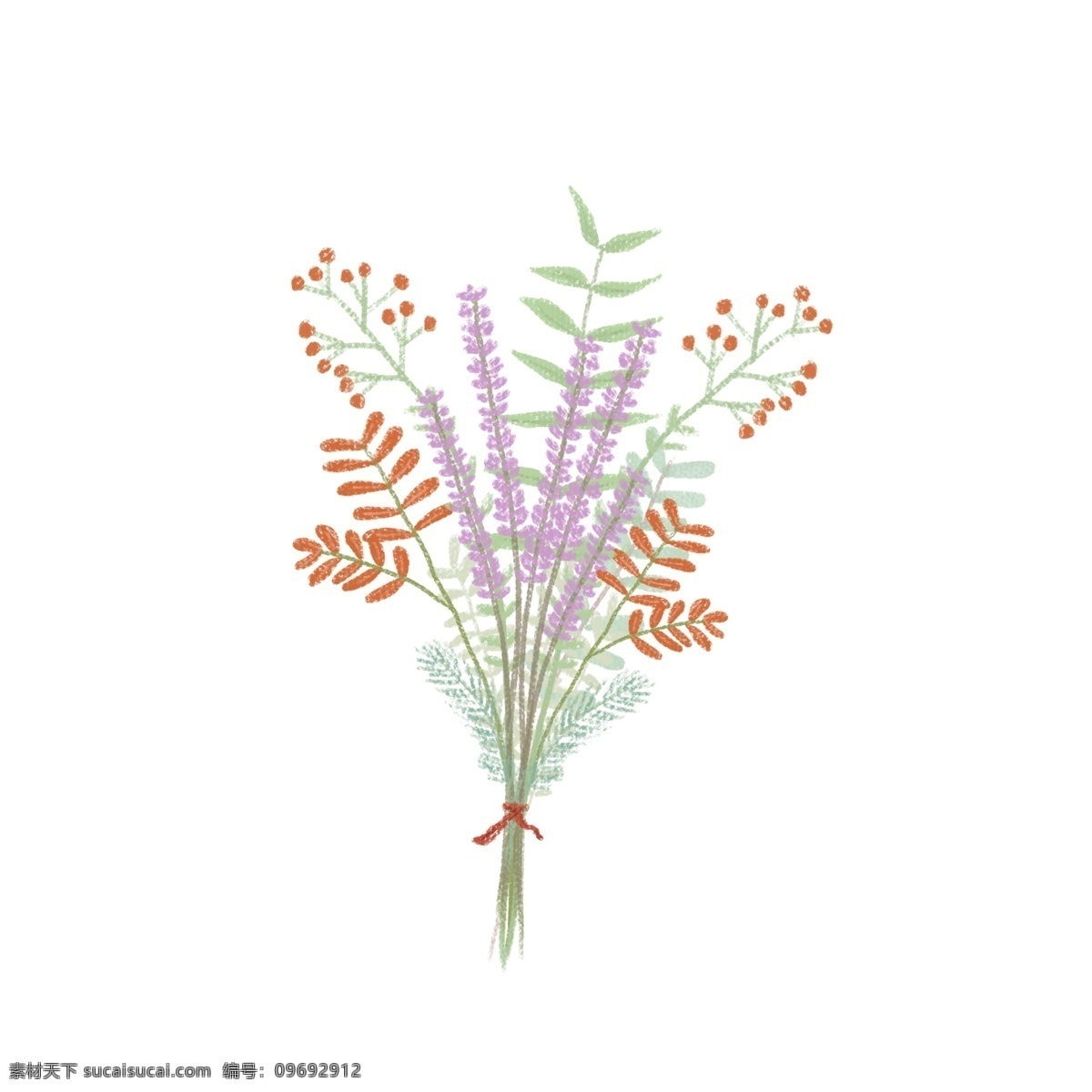 手绘 花卉 花束 小 清新 植物 手绘花束 装饰素材 植物素材 薰衣草
