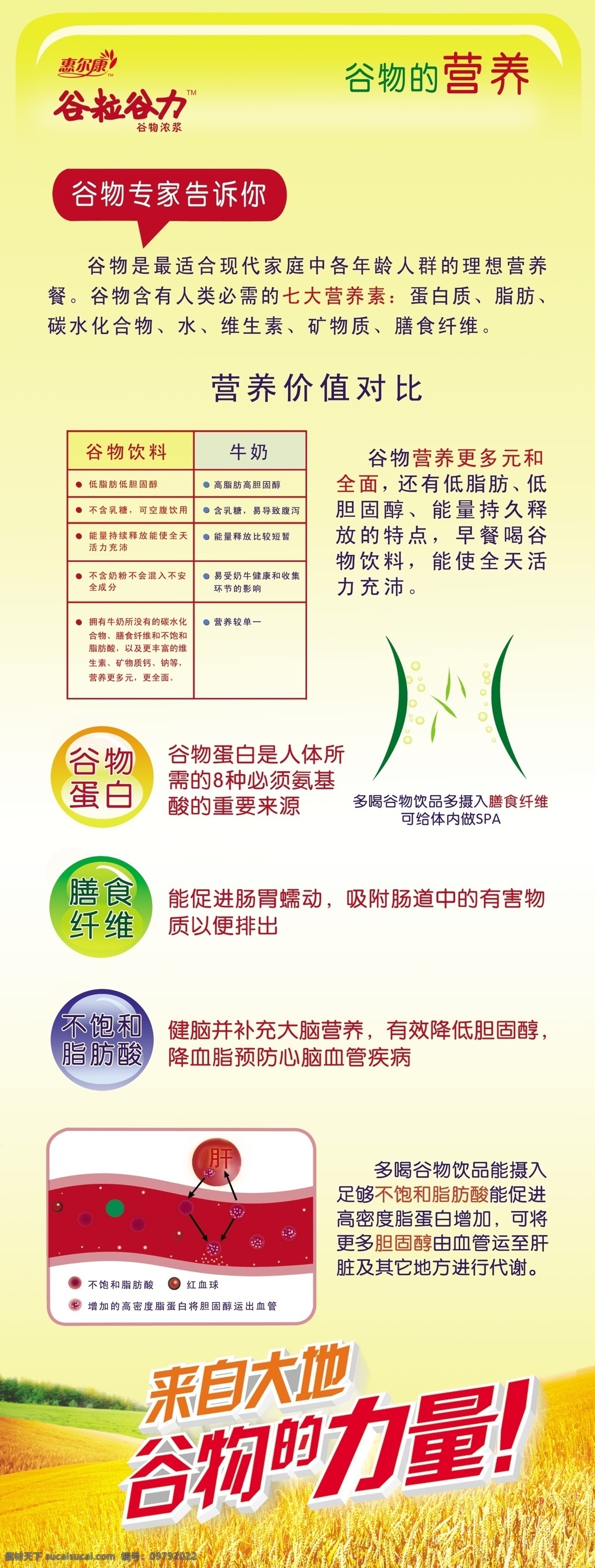分层 x展架 平面广告 源文件 惠 尔康 x 展架 模板下载 惠尔康x展架 惠尔康 谷物的健康 展板 x展板设计