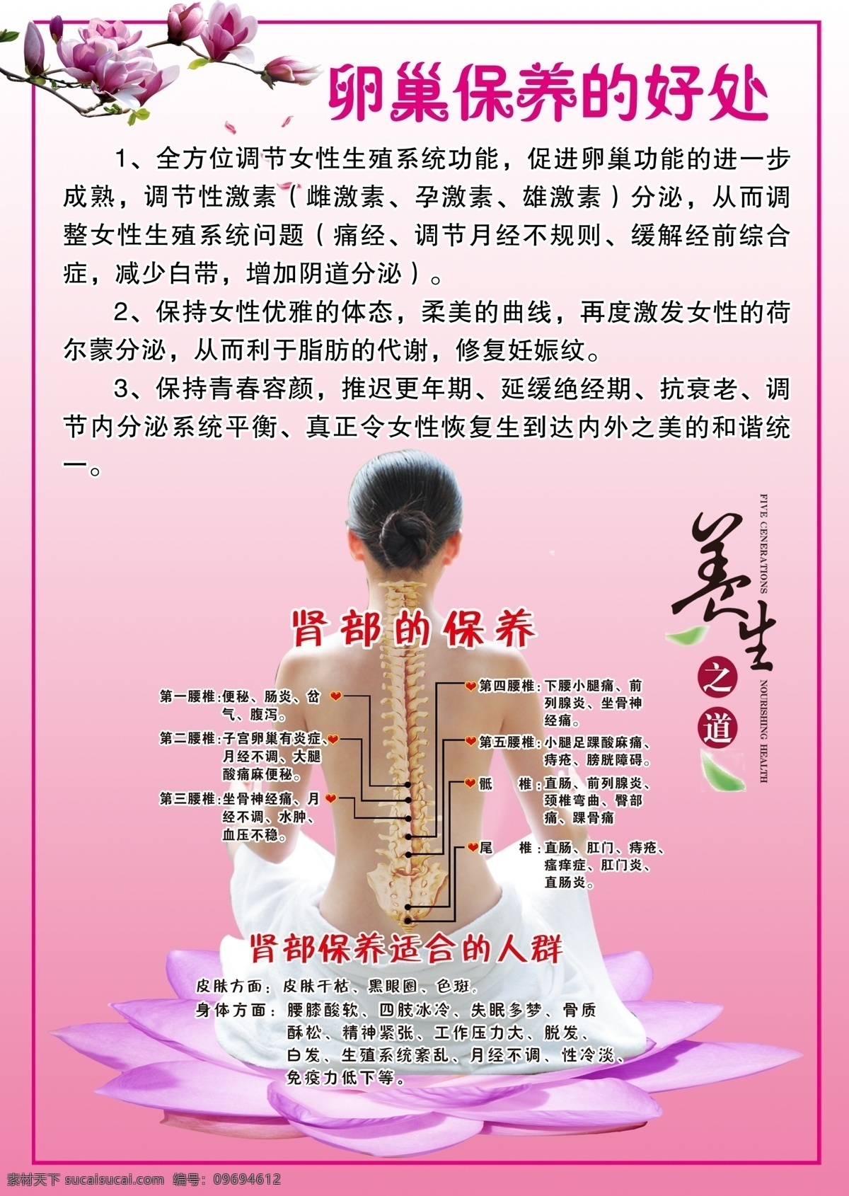 卵巢 养生 美容 关爱女性 私密 卵巢保养好处 分层