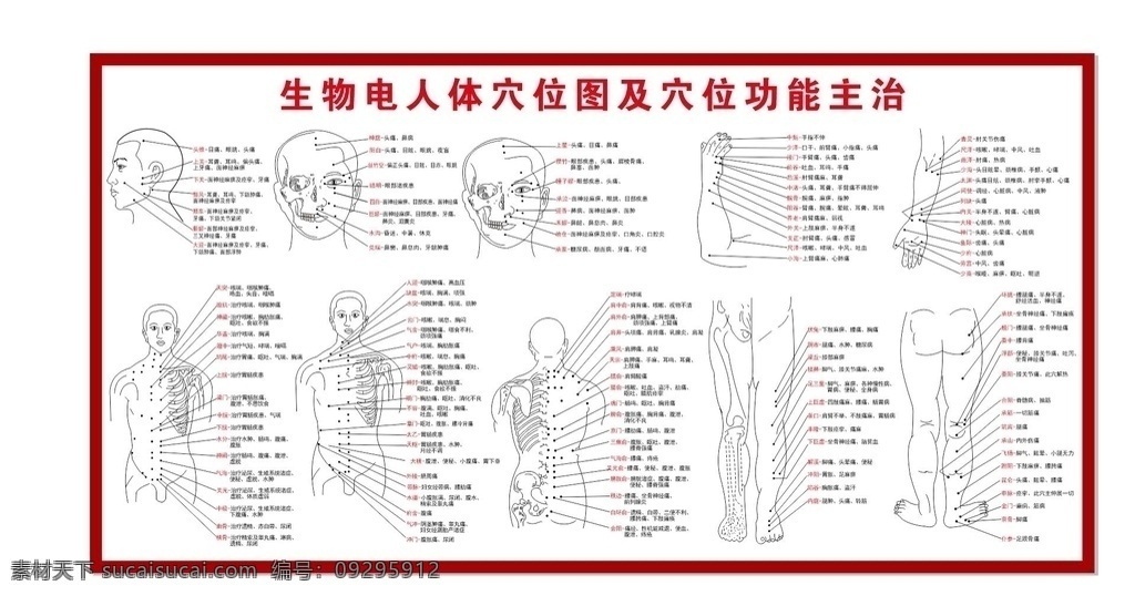 人体穴位图 人体 穴位图 经络图 穴位挂图 穴位 医学类