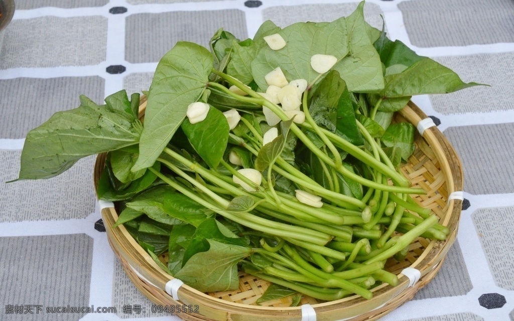 焖炒红薯尖 焖炒 红薯尖 炒红薯尖 食品 特写 食物 美食 蔬菜 餐饮美食 传统美食