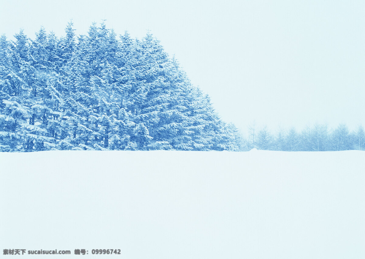 降雪 雪花 白 树 在雪地里 冬季下雪 冬天 雪山谷 山 冬季 景观 北方 雪景 雪山 自然景观 风景名胜