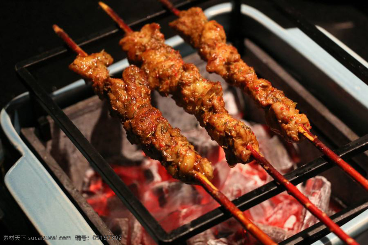 新疆 红柳 羊肉串 烧烤 烤 餐饮美食