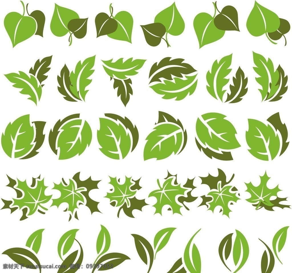 装饰性 绿叶 矢量图 树叶 装饰画 装饰图案 标志图标 公共标识标志