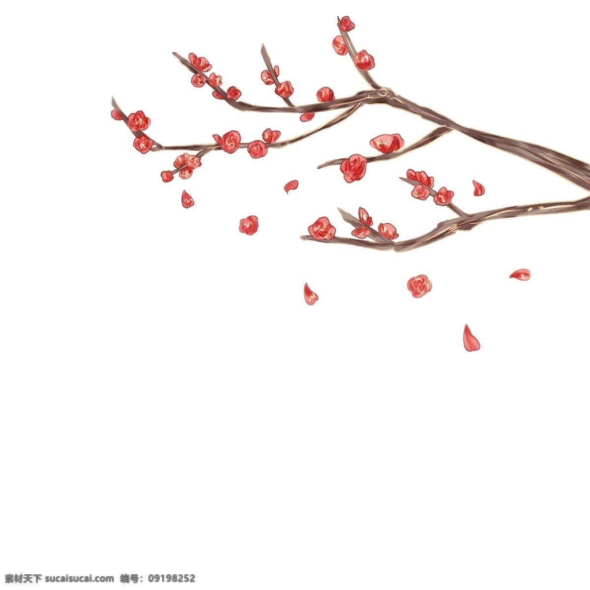 手绘 漂亮 鲜艳 腊梅 花 红梅 腊梅花 冷艳清绝 手绘风格 漂亮美丽 雍容典雅 冬日梅花 盛开的花朵